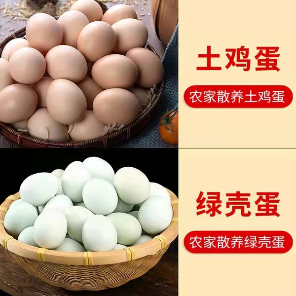 【乡里农货】农家散养土鸡蛋（30个土鸡蛋＋20个绿壳鸡蛋）52.8元包邮